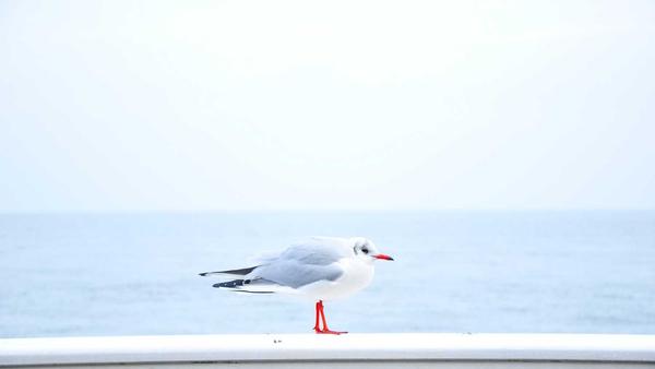 电子游戏发展史