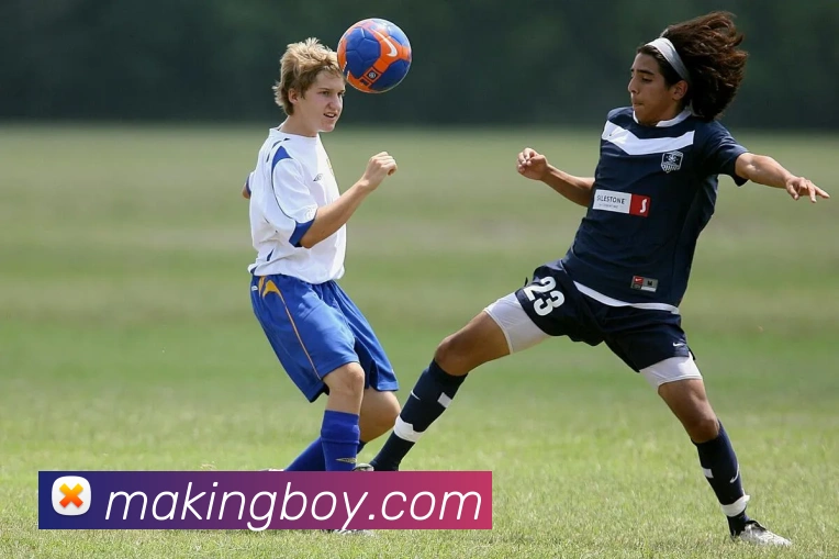 3377体育APP 封面图